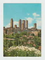 S. GIMIGNANO:   PANORAMA  -  FG - Siena