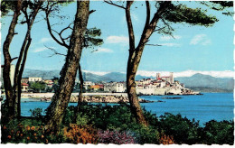 CPSM FRANCE 06 ALPES-MARITIMES ANTIBES - Vue Générale - Au Fond Les Alpes - Autres & Non Classés