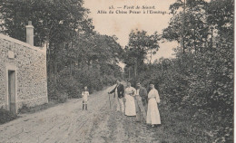 91 FORET DE SENART ALLEE DU CHENE PRIEUR A L'ERMITAGE - Autres & Non Classés