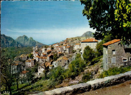 EVISA    ( CORSE DU SUD )  VUE GENERALE - Andere & Zonder Classificatie