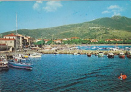 AK 211367 ITALY - Isola D'Elba - Marina DiCampo - Altri & Non Classificati