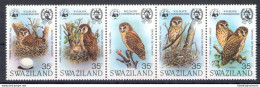 1982 SWAZILAND, Yv 399/403 Uccelli - Gufi - 5 Valori - MNH** - Andere & Zonder Classificatie