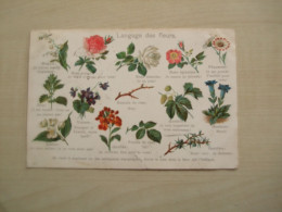 Carte Postale Ancienne 1906 LANGAGE DES FLEURS - Bloemen