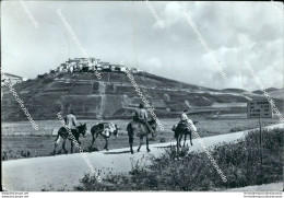 Ae703 Cartolina Castelluccio Di Norcia  Provincia Di Perugia Varie Pieghe - Perugia