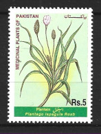 PAKISTAN. N°1017 De 1999. Plantain. - Plantes Médicinales