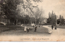 Le Vésinet Animée Avenue De La Marguerite - Le Vésinet