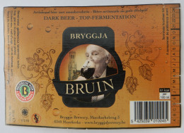 Bier Etiket (7n2), étiquette De Bière, Beer Label, Bryggja Bruin Brouwerij Bryggja - Birra