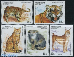 Azerbaijan 1994 Cats 5v, Mint NH, Nature - Animals (others & Mixed) - Cat Family - Cats - Other & Unclassified