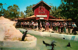 72877100 Buena_Park Seal Pool And Old Mac Donalds Farm Knotts Berry Farm Ghost T - Sonstige & Ohne Zuordnung