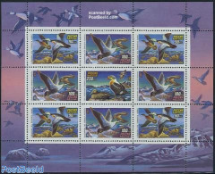 Russia 1993 Birds M/s, Mint NH, Nature - Birds - Ducks - Other & Unclassified