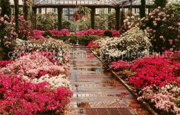 72872622 Kennett Square Longwood Gardens Kennett Square - Sonstige & Ohne Zuordnung