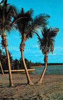 72863817 Palm_Beach Coastline - Autres & Non Classés