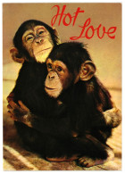 Baby Chimpanzees Primate Ape, Hot Love 1960s Unused Postcard. Publisher Cramers Kunstanstalt KG, Dortmund Germany - Scimmie