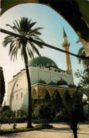 72858246 Acre Akkon Moschee Acre Akkon - Israël