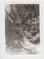 Young Woman Pose Climbed On Tree, Scene, Vintage Orig Photo 6x8.5cm. (32453) - Anonyme Personen