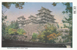 PC34072 The Famous Himeji. White Heron Castle - Monde