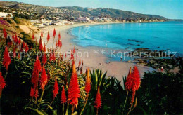 72848166 Laguna_Beach Panorama  - Andere & Zonder Classificatie