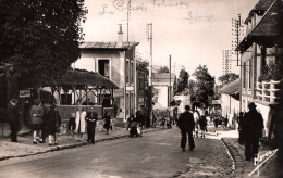 Le Plessis Robinson - La Rue De Malabry - Le Plessis Robinson