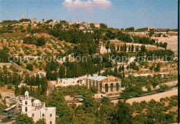 72846248 Jerusalem Yerushalayim Garden Of Gethsemane Israel - Israel