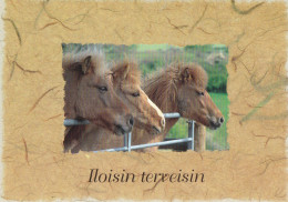 Horse - Cheval - Paard - Pferd - Cavallo - Cavalo - Caballo - Häst - Happy Greetins - Iloisin Terveisin - Horses