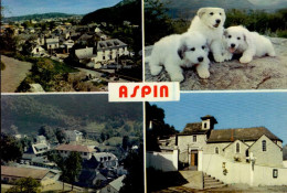 ASPIN EN LAVEDAN     ( HAUTES PYRENEES ) MULTI-VUES - Other & Unclassified