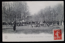 Chasse à Courre En Foret De Fontainebleau - Le Rapport - Chasse