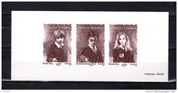 " FDT 2007 : HARRY POTTER RON WEASLEY HERMIONE GRANGER " Sur Gravure Officielle De France N° YT 4024 à 4026 A Saisir ! - Fumetti