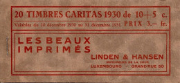 LUXEMBURG, 1930,  Booklet 3, Caritas Booklet, 3fr, Red On Brown Cover, With Minimal Hing-remnants In Pane And Cover - Cuadernillos