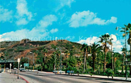 72824037 Hollywood California Palm Tree Line Highland Avenue Hollywood Freeway H - Andere & Zonder Classificatie