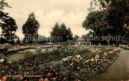 72819033 Preston_Brent Rose Garden - Other & Unclassified