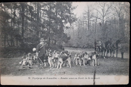 Chasse à Courre - Equipage Bonnelles - Rendez Vous En Foret De St-Arnoult - Jagd