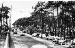 Sion-sur-l'Océan Animée Avenue De La Forêt Camping Voitures 4 CV Renault - Autres & Non Classés