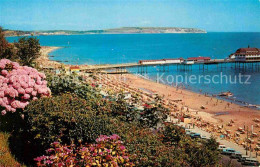 72810838 Shanklin Hydrangeas Esplanade And Pier Isle Of Wight - Autres & Non Classés