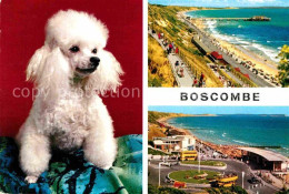 72805774 Boscombe Bournemouth Promenade And Pier Approach Dog Boscombe Bournemou - Other & Unclassified