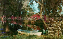 72805703 Charleston_South_Carolina Magnolia Gardens - Andere & Zonder Classificatie
