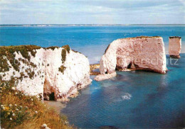 72801921 Studland Old Harry Rocks Coast Studland - Andere & Zonder Classificatie