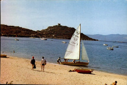 CAMPOMORO    ( CORSE DU SUD )    LA PLAGE ET LA TOUR GENOISE - Sonstige & Ohne Zuordnung