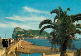 Gibraltar - El Penon De Gibraltar - Le Rocher De Gibraltar - CPM - Voir Scans Recto-Verso - Gibraltar