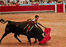 Corrida - Un Clâsico Natural - Carte Neuve - CPM - Voir Scans Recto-Verso - Stierkampf