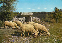 Animaux - Moutons - Quercy - Moutons Au Pâturage Auprès D'un Vieux Dolmen - CPM - Carte Neuve - Voir Scans Recto-Verso - Andere & Zonder Classificatie