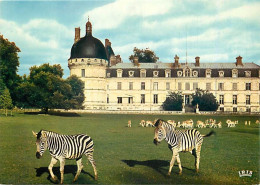 Animaux - Zèbres - Parc Zoologique Du Château De Valençay - Zoo - Daims - CPM - Carte Neuve - Voir Scans Recto-Verso - Zèbres