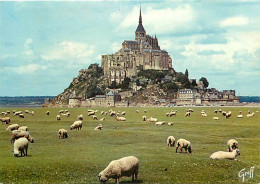 Animaux - Moutons - Le Mont Saint Michel - Les Moutons De Pré-salé - CPM - Carte Neuve - Voir Scans Recto-Verso - Autres & Non Classés