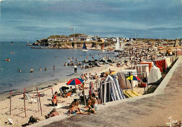 56 - Presqu'Ile De Quiberon - CPM - Voir Scans Recto-Verso - Quiberon