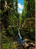 51657 - Deutschland - Wutachschlucht , Naturschutzgebiet , Lothenbachklamm - Gelaufen 1971 - Bonndorf