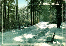 51631 - Deutschland - Schwarzwald , Motiv Im Winter , Winterlandschaft - Gelaufen 1991 - Sonstige & Ohne Zuordnung