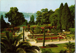 51558 - Deutschland - Insel Mainau , Im Bodensee , Rosengarten - Gelaufen  - Konstanz