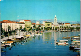 51395 - Kroatien - Split , Panorama - Gelaufen 1965 - Kroatien