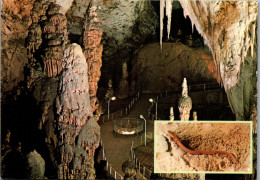 51269 - Slowenien - Postojna , Postojnska Jama , Spomenik , Cloveska Ribica , Grotte - Gelaufen 1984 - Slowenien