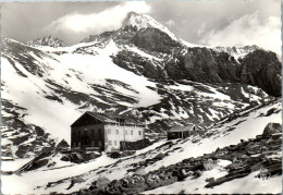 52012 - Tirol - Stüdlhütte , Mit Großglockner - Gelaufen 1964 - Kals