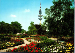 51777 - Deutschland - Hamburg , Rosenblüte In Planten Un Blomen , Fernsehturm - Nicht Gelaufen  - Sonstige & Ohne Zuordnung